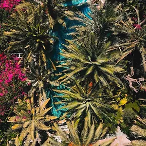 3* Hotel Flamingo & - Pet Friendly