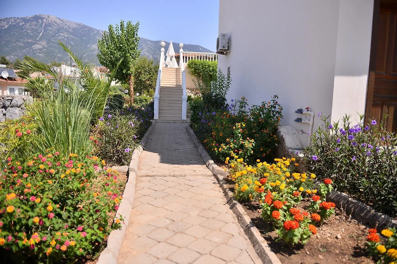 Pine Grove Upper C3 Hotel Oludeniz 0*,  Turkey